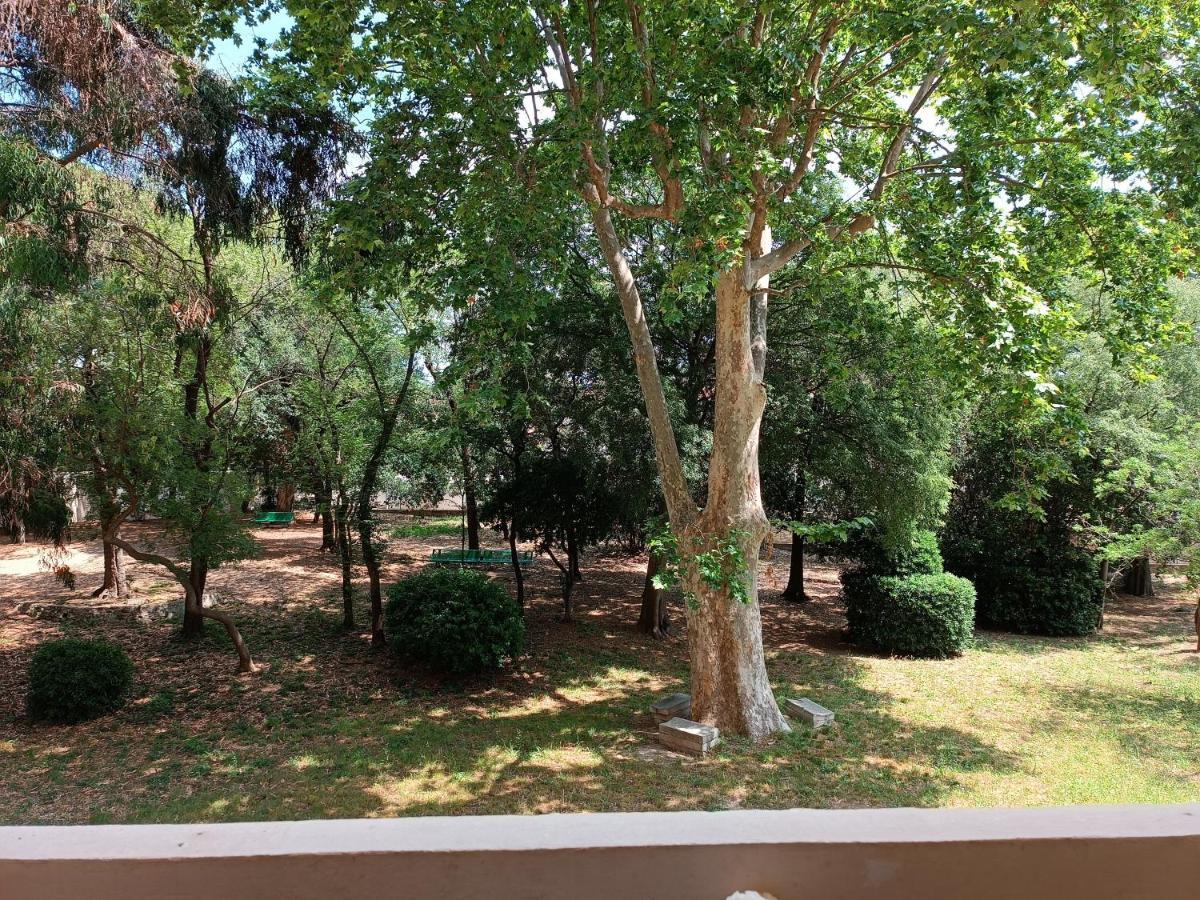 Chez Isa Apartment Toulon Bagian luar foto